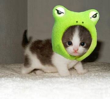 Foto publica di vr88